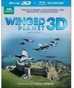 Winged Planet 3D Blu-ray (Rental)