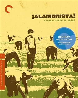 Alambrista Blu-ray (Rental)