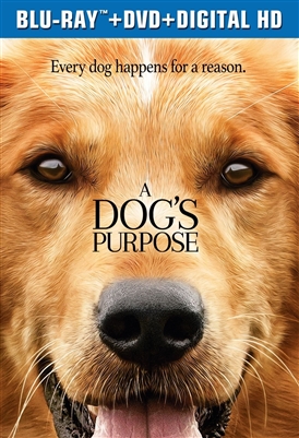 Dog's Purpose 03/17 Blu-ray (Rental)