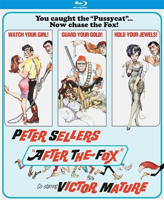 After the Fox 03/16 Blu-ray (Rental)