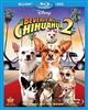 Beverly Hills Chihuahua 2 Blu-ray (Rental)