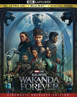 Black Panther: Wakanda Forever 4K UHD 01/23 Blu-ray (Rental)