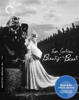Beauty and the Beast 11/14 Blu-ray (Rental)