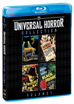 Black Friday 05/19 Blu-ray (Rental)