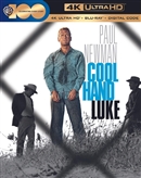 Cool Hand Luke 4K UHD 03/23 Blu-ray (Rental)