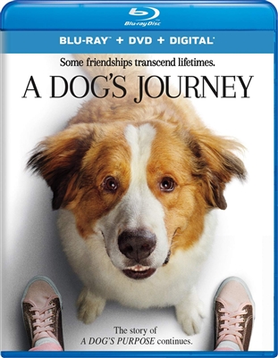 Dog's Journey 08/19 Blu-ray (Rental)