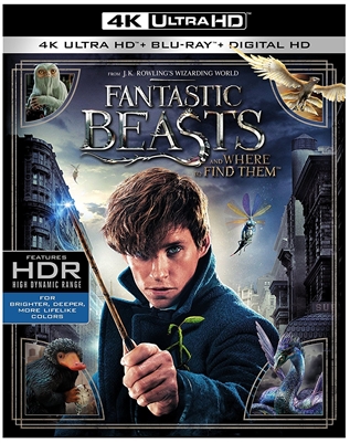 Fantastic Beasts and Where to Find Them 4K UHD Blu-ray (Rental)
