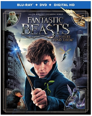 Fantastic Beasts and Where to Find Them 03/17 Blu-ray (Rental)