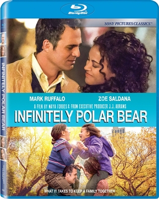 Infinitely Polar Bear 11/15 Blu-ray (Rental)