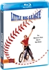 Little Big League 08/21 Blu-ray (Rental)