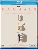 Mammals Disc 1 Blu-ray (Rental)