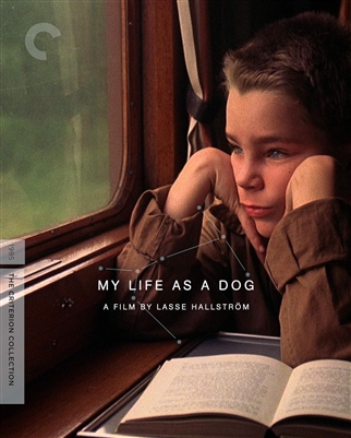 My Life as a Dog (Criterion) 07/24 Blu-ray (Rental)