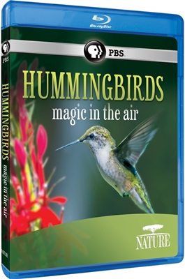 Nature: Hummingbirds 06/15 Blu-ray (Rental)