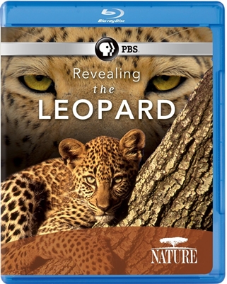 Nature: Revealing the Leopard 06/15 Blu-ray (Rental)