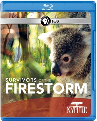 Nature: Survivors of the Firestorm 06/15 Blu-ray (Rental)