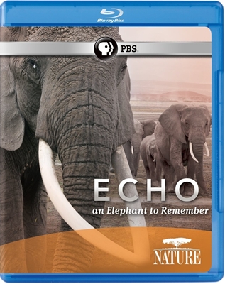 Nature: Echo - An Elephant to Remember 10/14 Blu-ray (Rental)