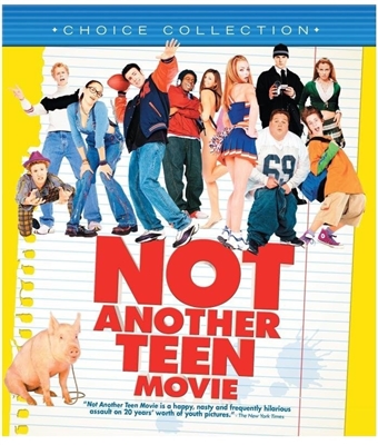 Not Another Teen Movie 11/16 Blu-ray (Rental)