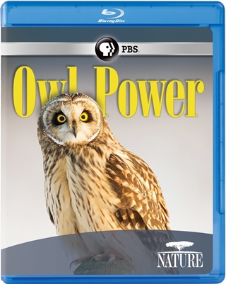 Owl Power 04/15 Blu-ray (Rental)