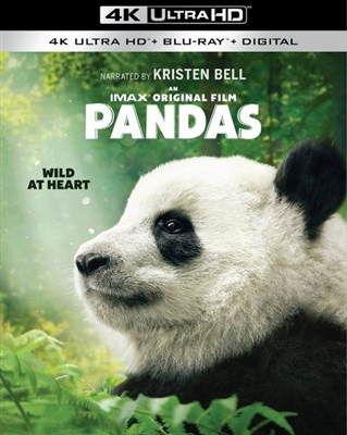 Pandas 4K UHD 04/19 Blu-ray (Rental)