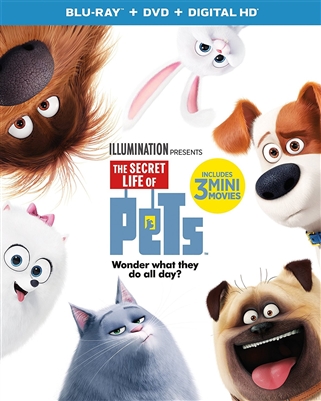 Secret Life of Pets 11/16 Blu-ray (Rental)