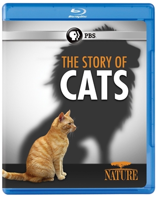 Story of Cats 04/17 Blu-ray (Rental)