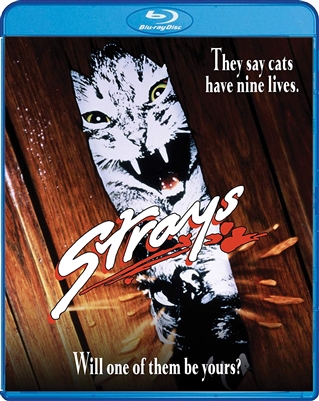 Strays 07/19 Blu-ray (Rental)