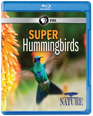 Super Hummingbirds 04/17 Blu-ray (Rental)