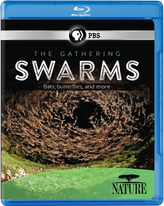 Gathering Swarms 09/14 Blu-ray (Rental)