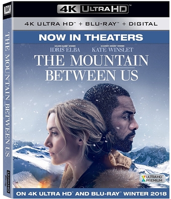 Mountain Between Us 4K UHD Blu-ray (Rental)