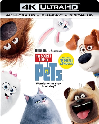 Secret Life of Pets 4K UHD Blu-ray (Rental)