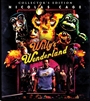 Willy's Wonderland - Collector's Edition 02/24 Blu-ray (Rental)