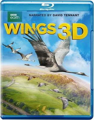 Wings 3D Blu-ray (Rental)