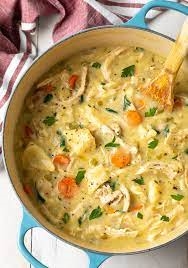 Chicken and Noodle Dumplings