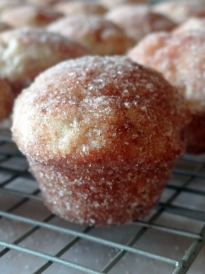 Cinnamon Apple cider Muffin doughnuts