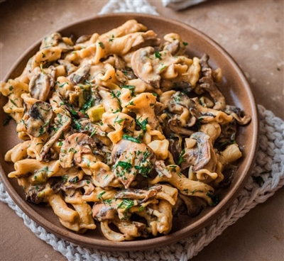 Vegetarian Mushroom and Leek  Stroganoff