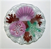 7 inch Sea Shell Bowl