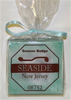 Any Town Beach Badge Seafoam Coasters