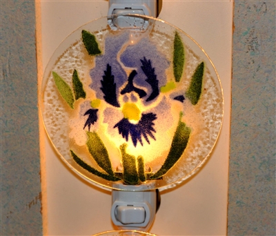 Blue Iris Nightlight