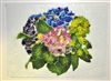 Hydrangea Large Tray (Insert Only)