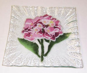 Hydrangea Pink Small Square Plate