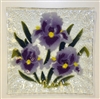 Purple Iris Small Square Plate