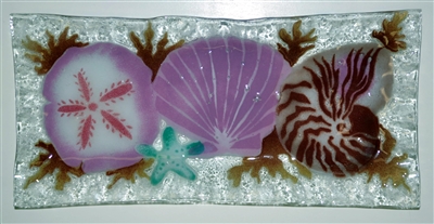 Rectangle Sea Shell Plate