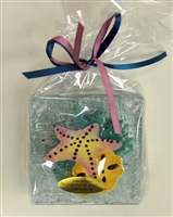 Sea Shell Coasters