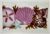 Small Sea Shell Tray (Insert Only)