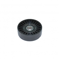 IDLER PULLEY, PCM 6.0L - R065040