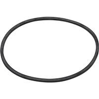 O RING â€“ FRONT PUMP COVER, PCM - RM0008