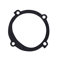 RAW WATER PUMP GASKET RM0125