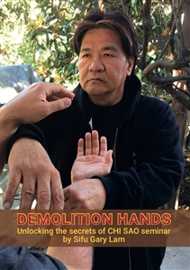 Gary Lam - Demolition Hands