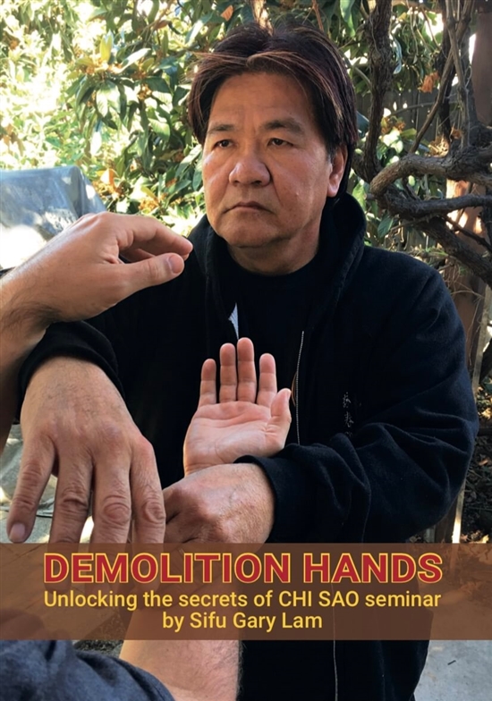 Gary Lam - Demolition Hands