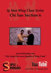 Sifu Sergio Iadarola - Chi Sao Section 6 - DVD